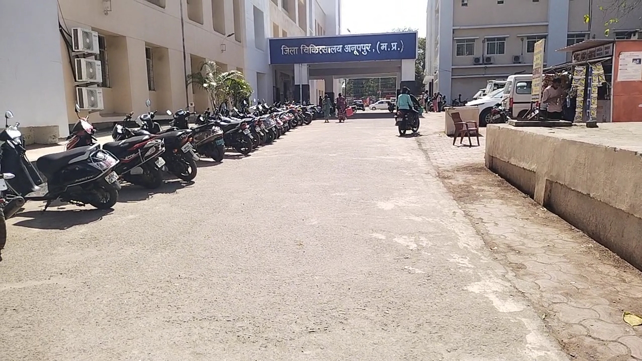 Additional News Image