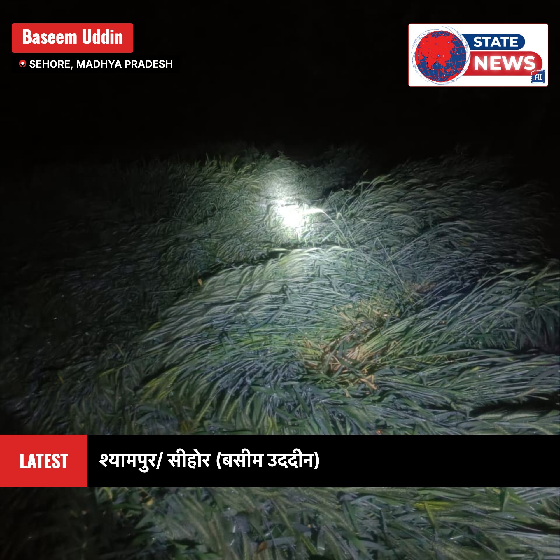 श्यामपुर तहसील में पटवारियों की सुस्त गिरदावरी से किसानों के पंजीयन में देरी से फसल योजना पर संकट मंडरा रहा है posted by Baseem Uddin from Sehore