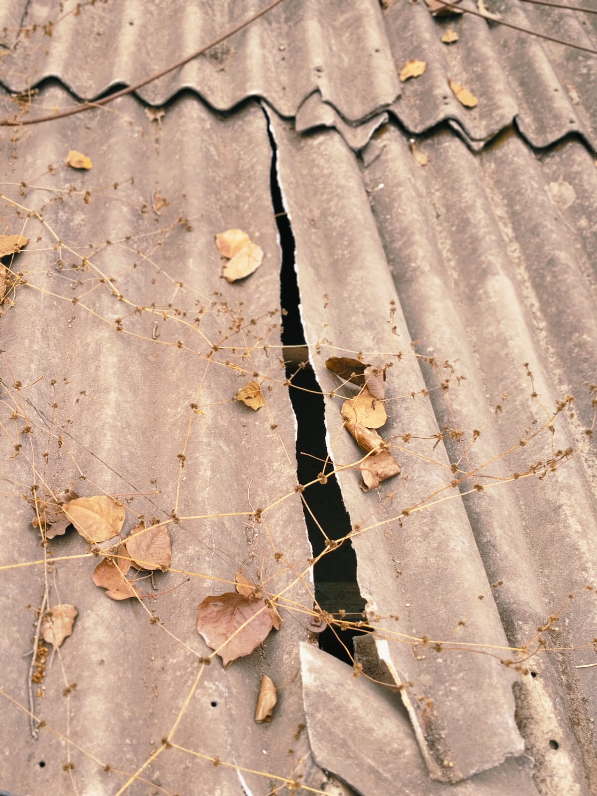 Additional News Image