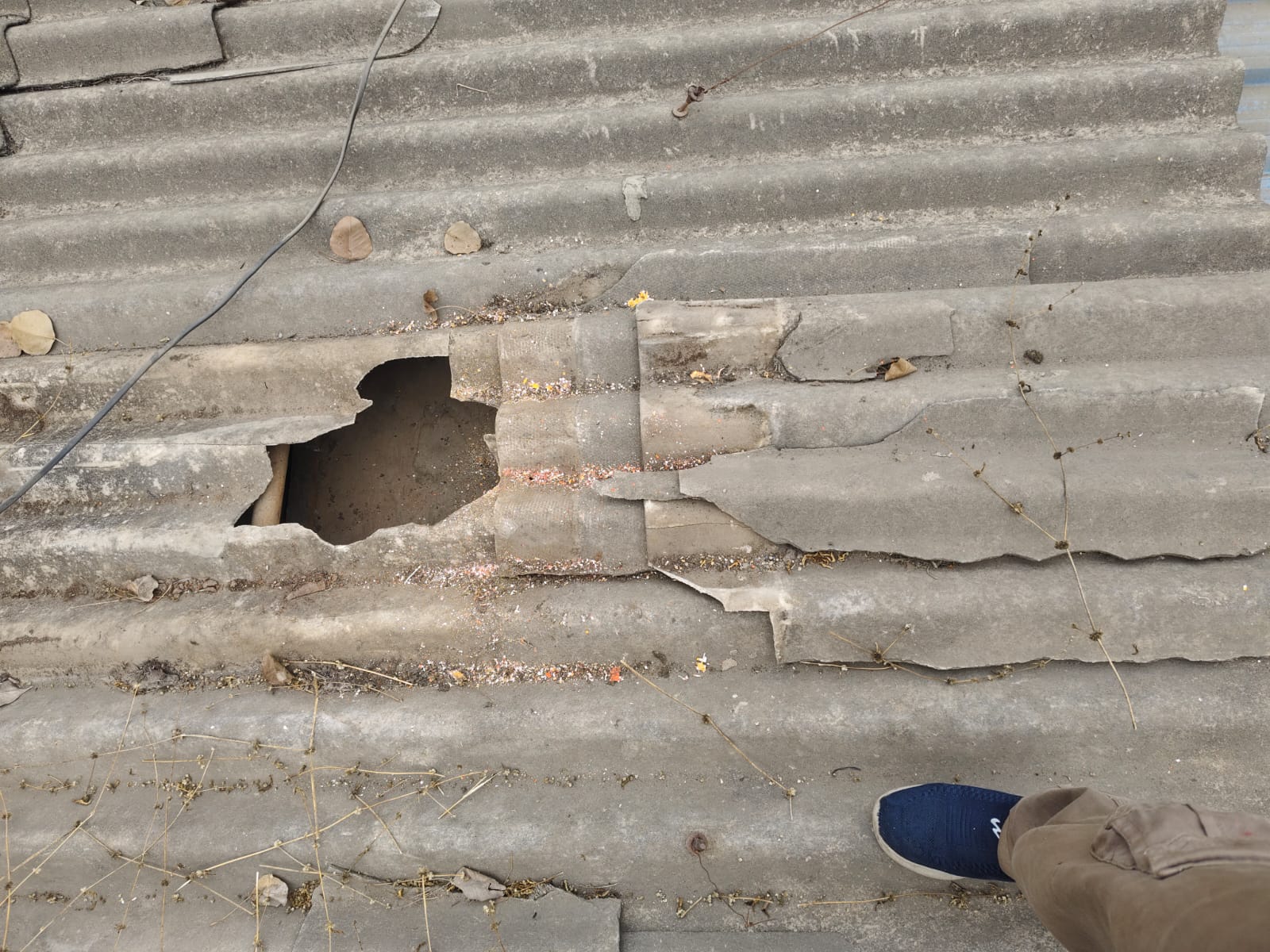 Additional News Image