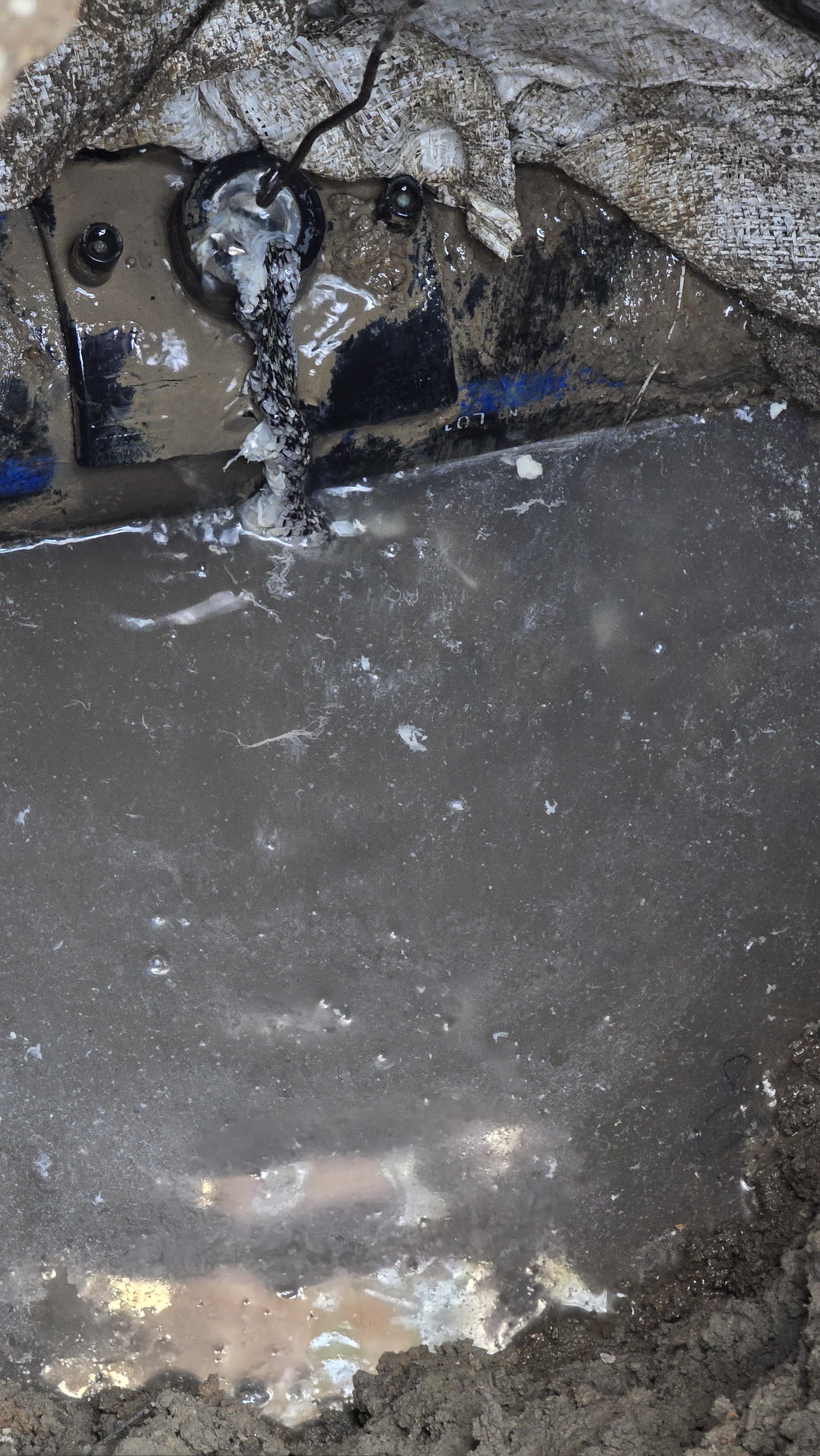 Additional News Image