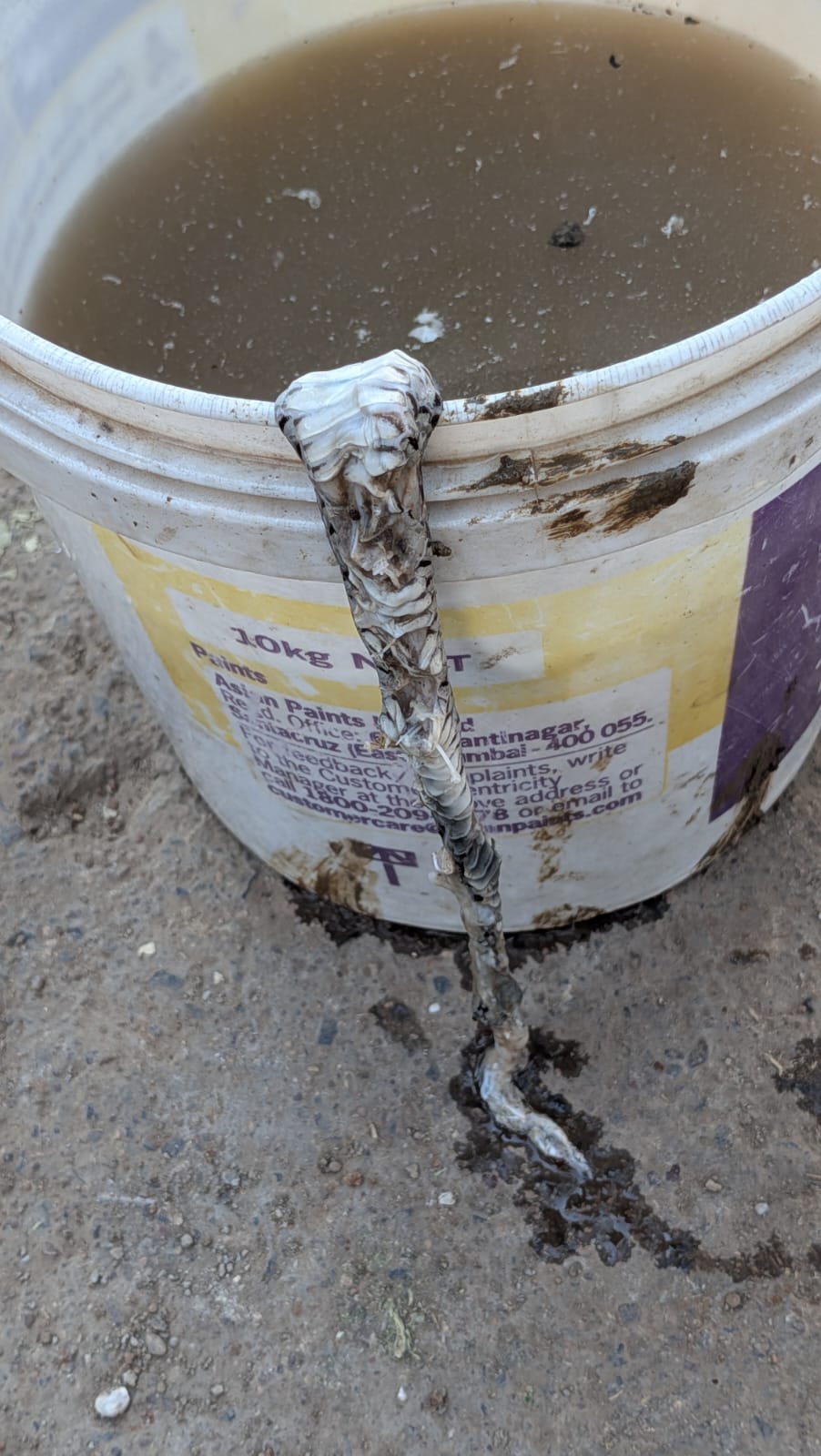 Additional News Image