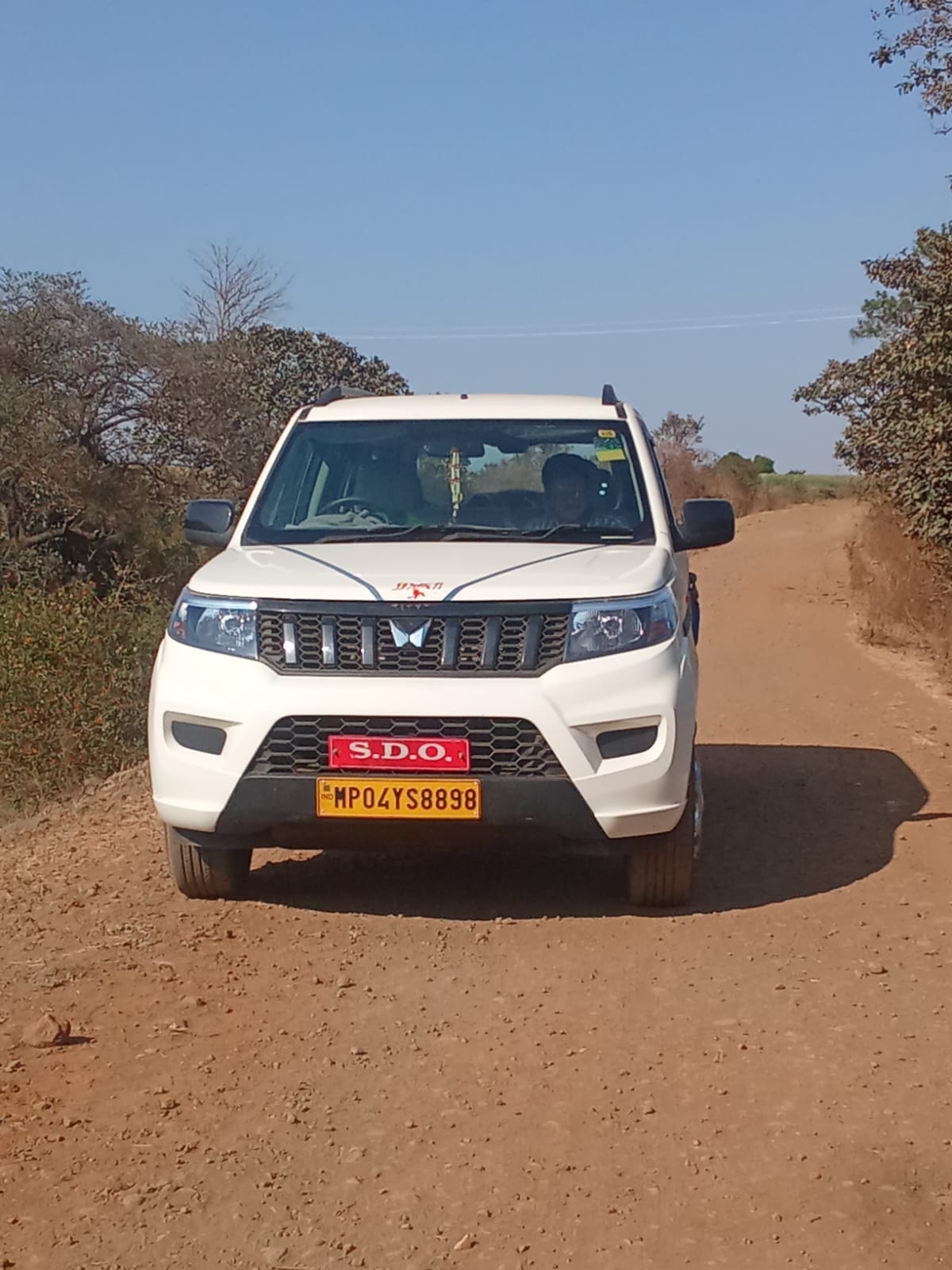 Additional News Image