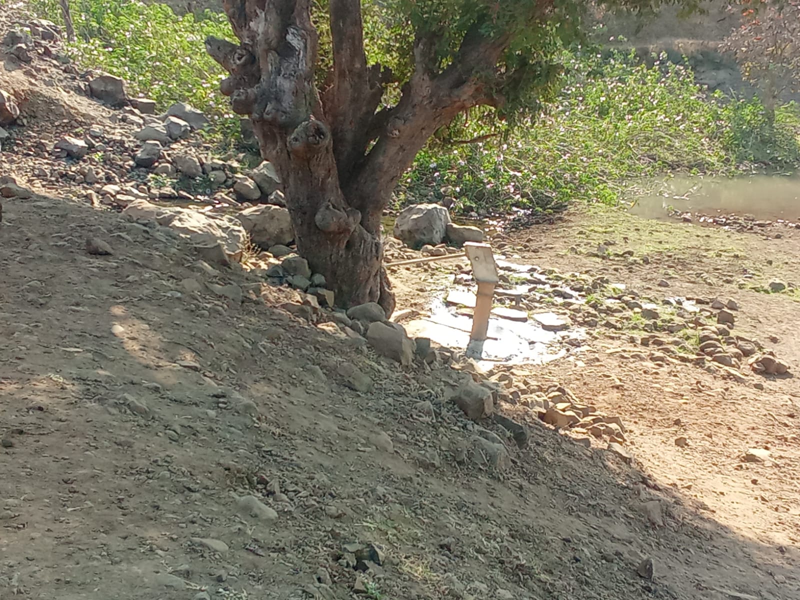 Additional News Image