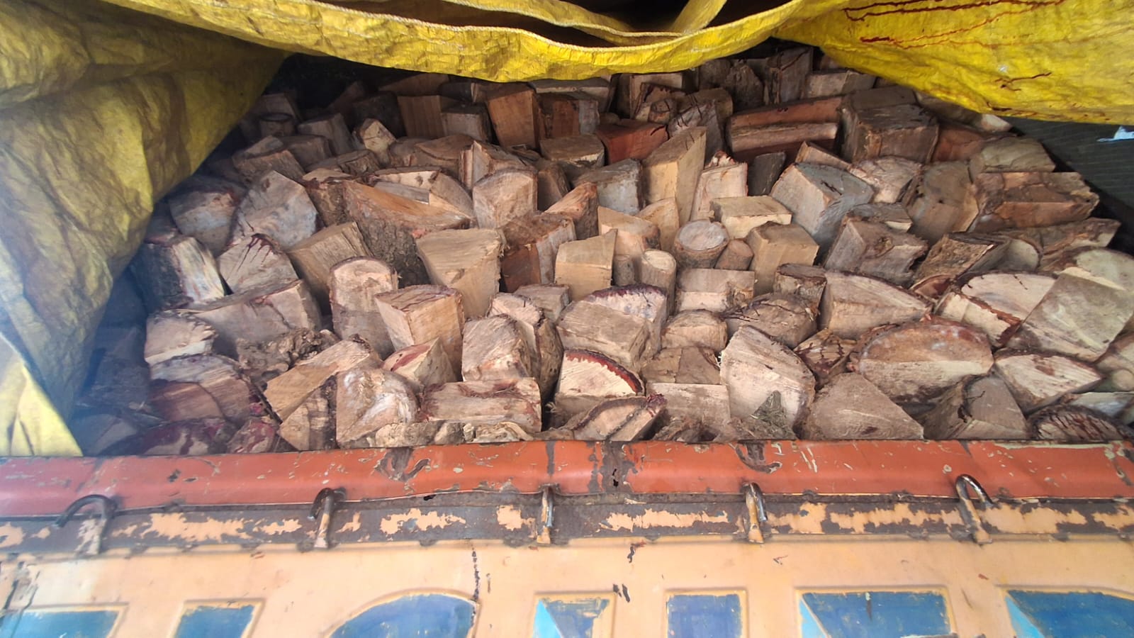 फर्जी नंबर प्लेट से आयशर वाहन में नीम की लकड़ी का अवैध परिवहन