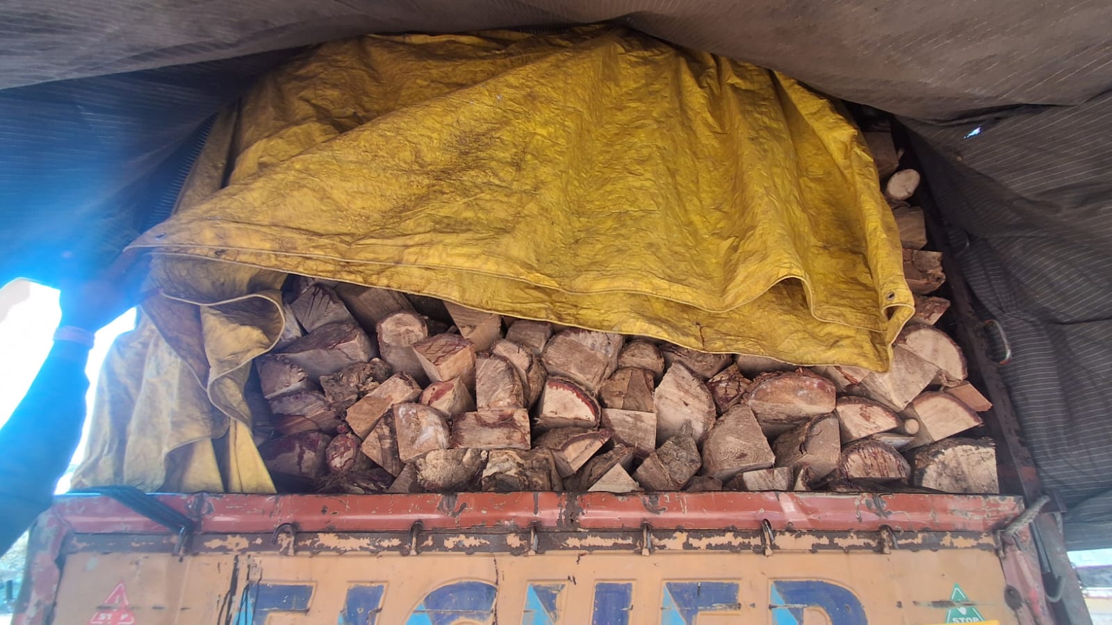 फर्जी नंबर प्लेट से आयशर वाहन में नीम की लकड़ी का अवैध परिवहन