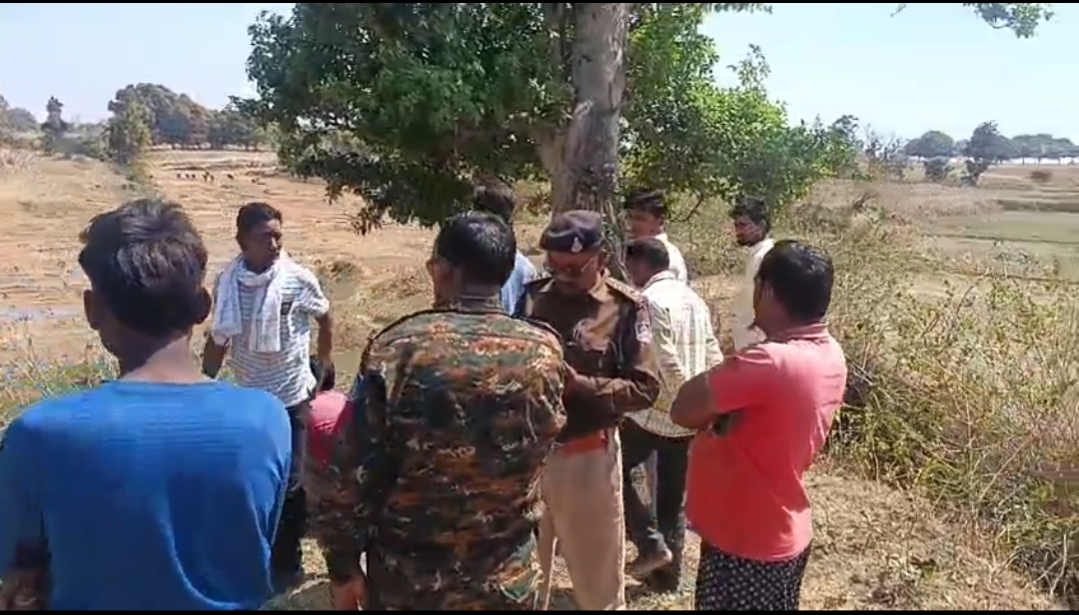 Additional News Image