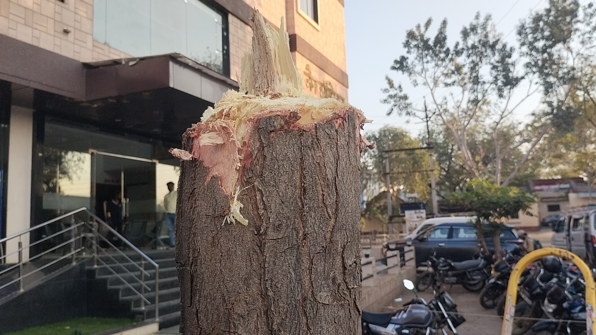 Additional News Image