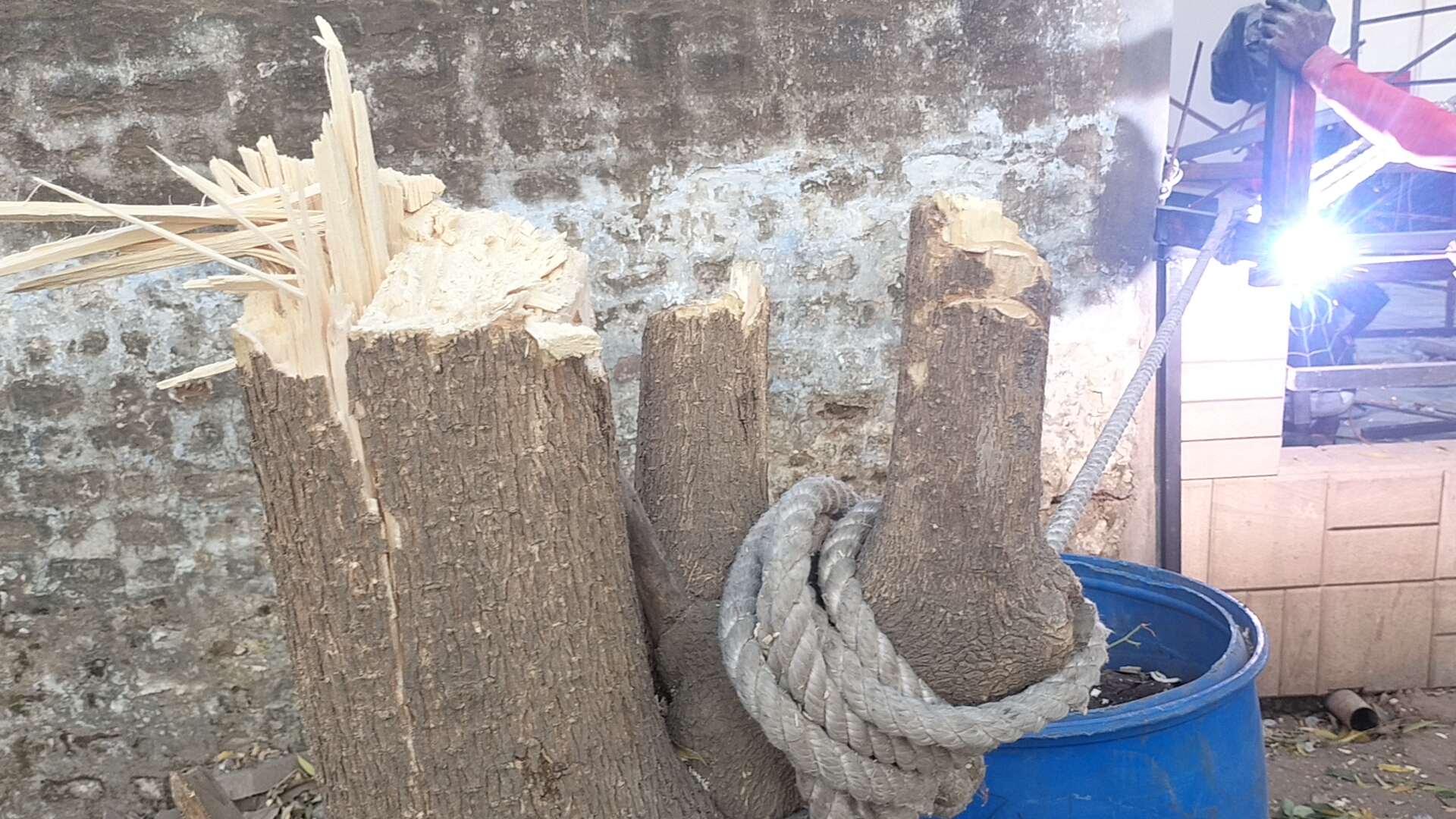 Additional News Image