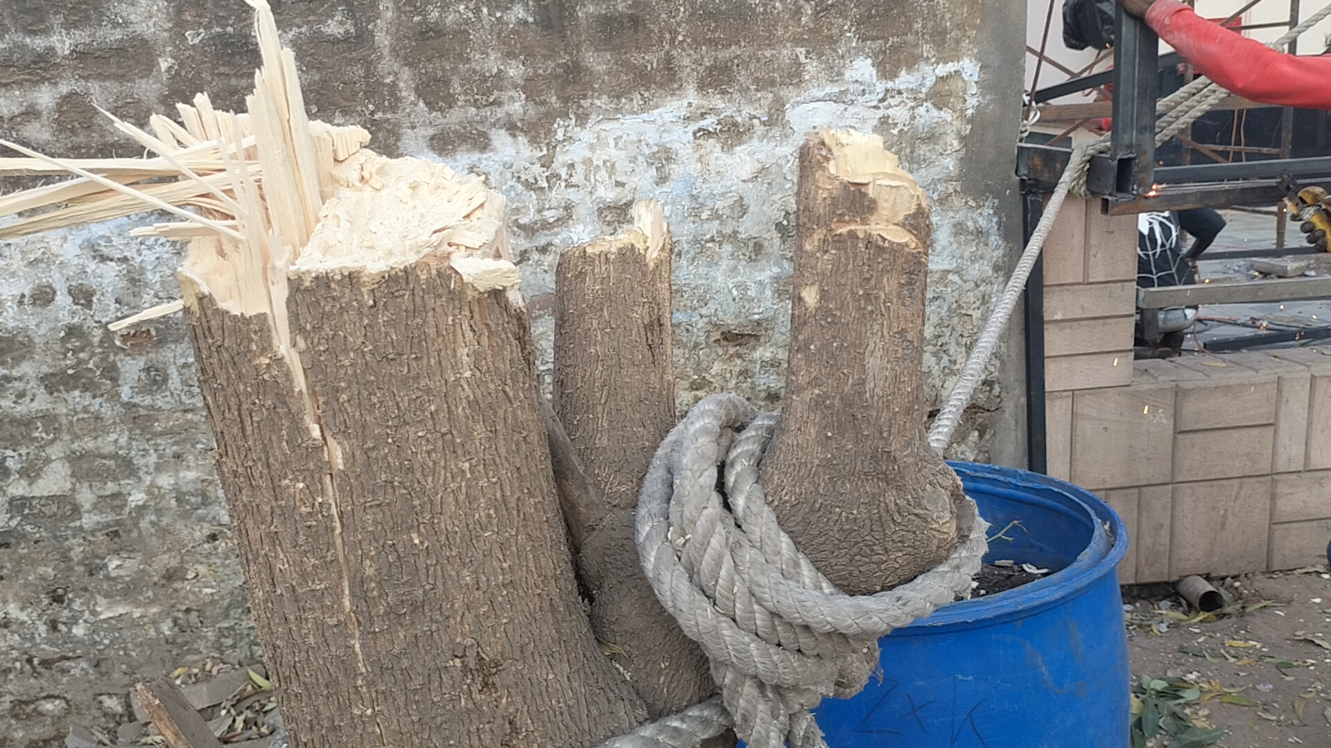 Additional News Image