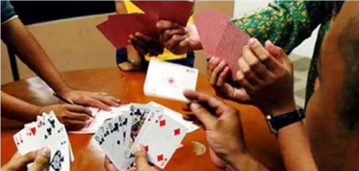 मोहगांव के पंढराखेड़ी अंबखापा के जंगलों में चल रहा जु वा posted by Umesh Kisna Dongare  from Pandhurna