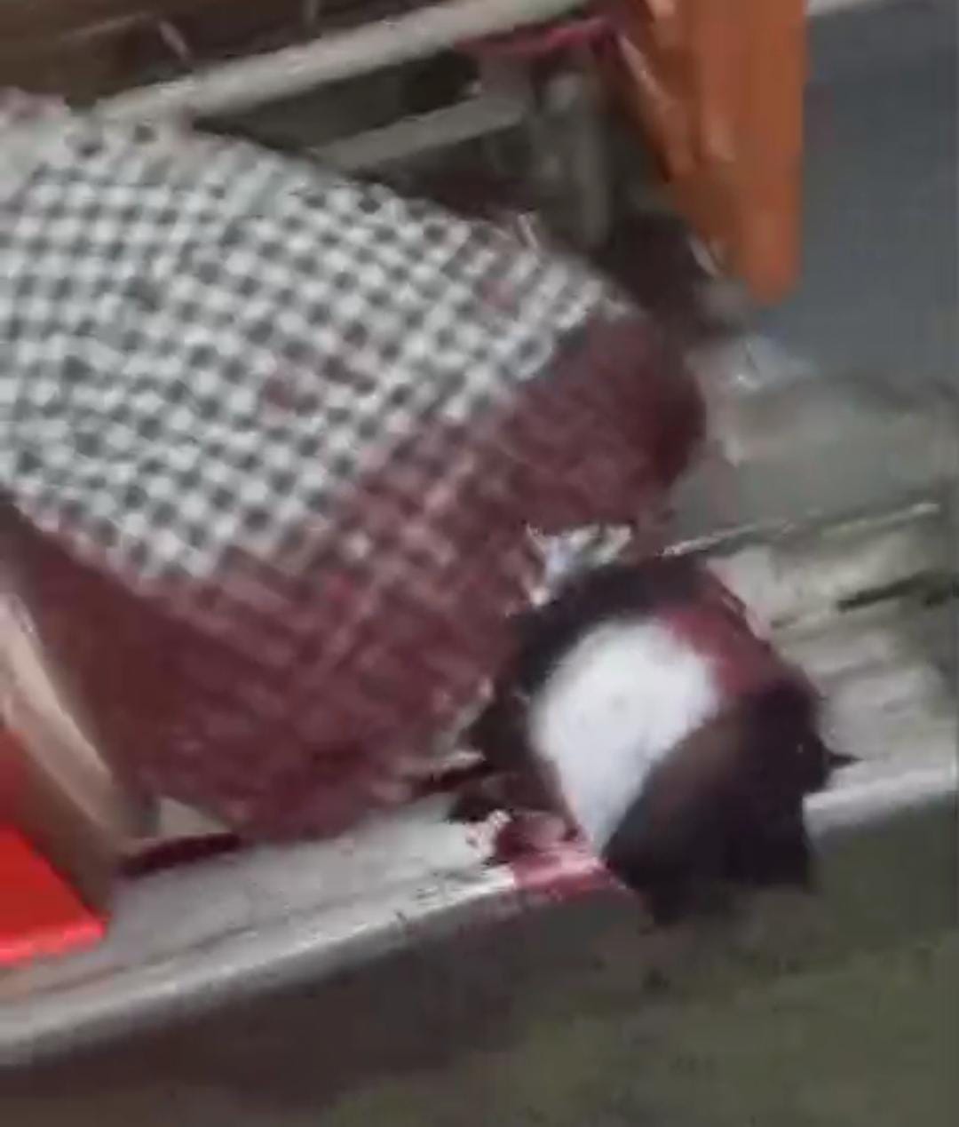 सड़क दुर्घटना में घायल भाजपा नेता की मौत; 108 कर्मचारियों पर लापरवाही का आरोप