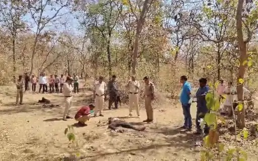 टाइगर रिजर्व में युवक का शव मिला:60 किमी दूर जंगल में पड़ी थी लाश, बाइक की चाबी गायब; भाई ने लगाया हत्या का आरोप posted by Ravi Soni from Garhakota