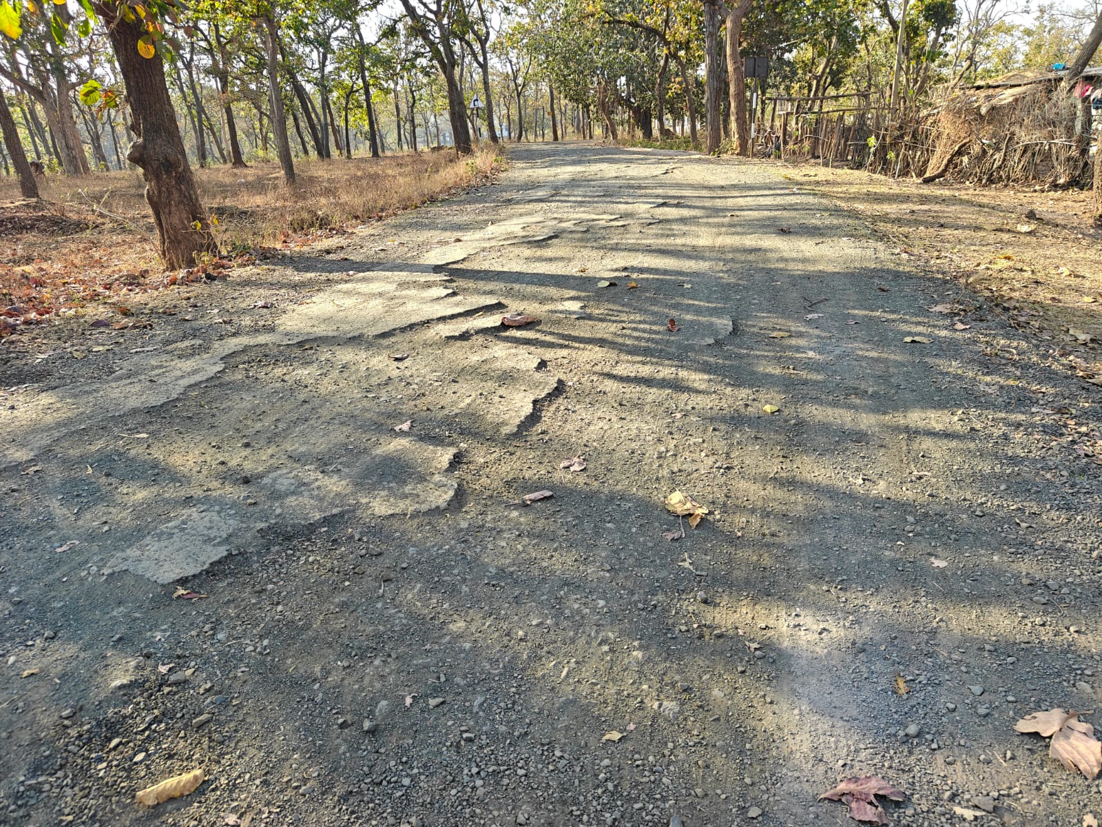 अमरकंटक की मिनी स्मार्ट सिटी की सड़कें गड्ढों में तब्दील ,    posted by Kishor Kumar Soni  from Anuppur