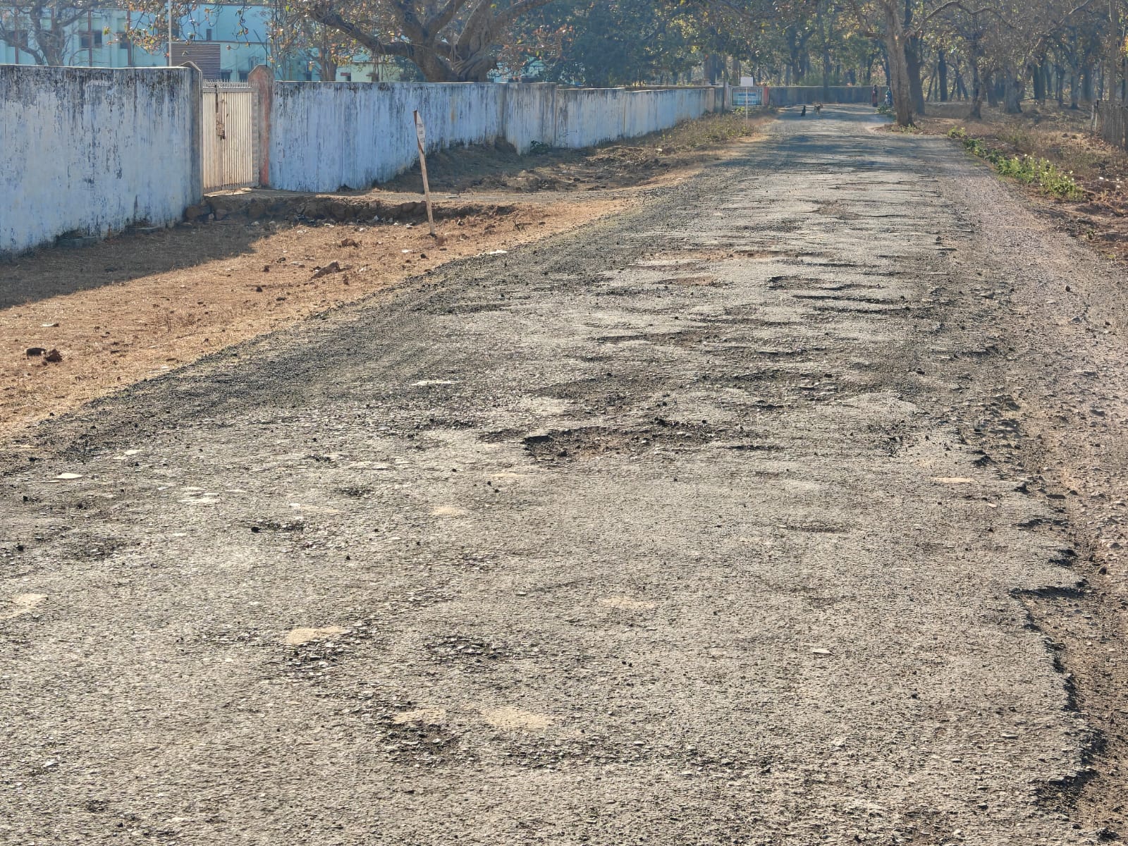 Additional News Image