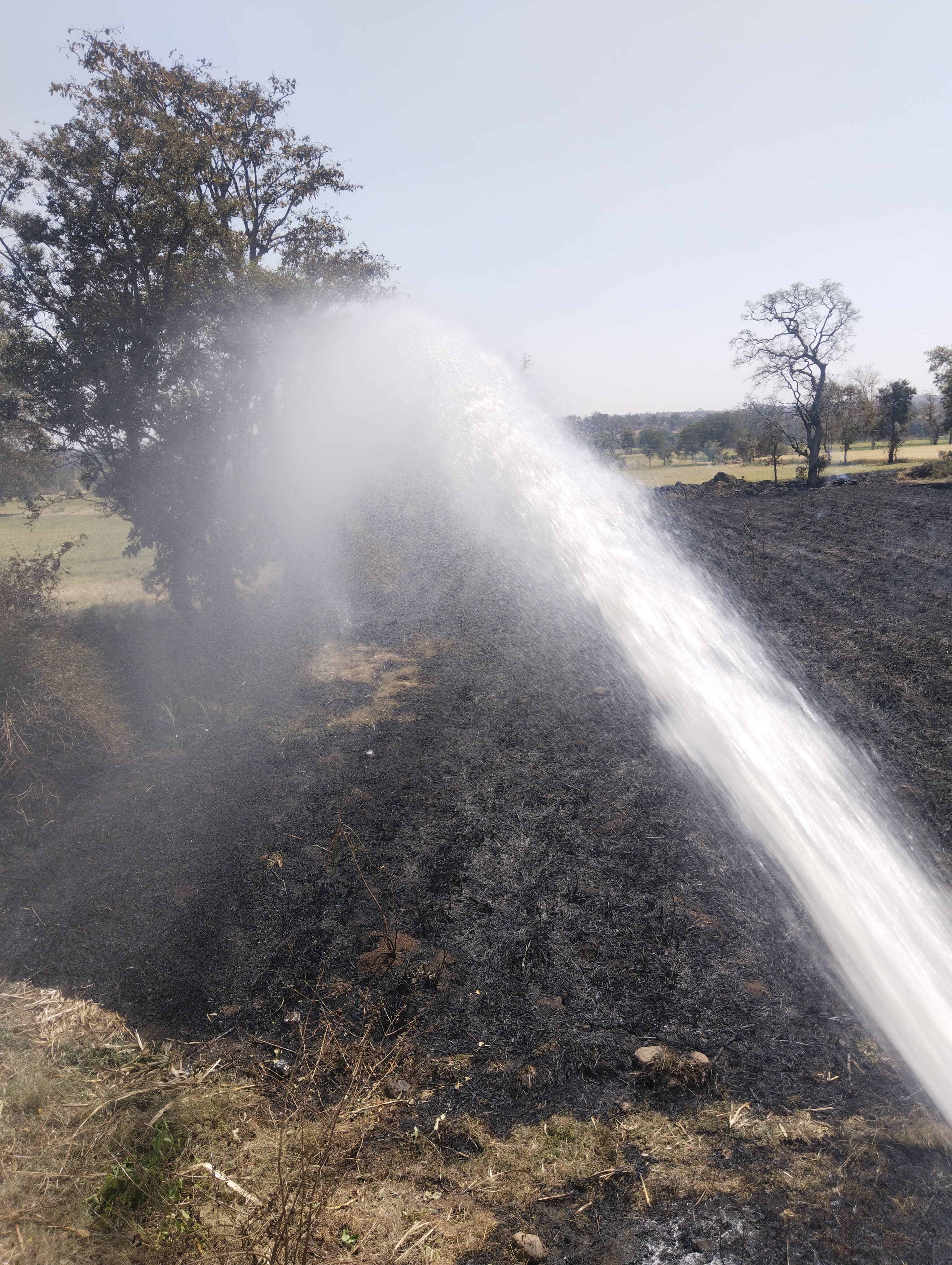 माथनी में गेहूं की फसल में लगी आग, दमकल ने पाया काबू posted by Mohammad Afsar  from Multai