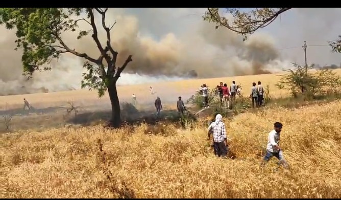 Additional News Image