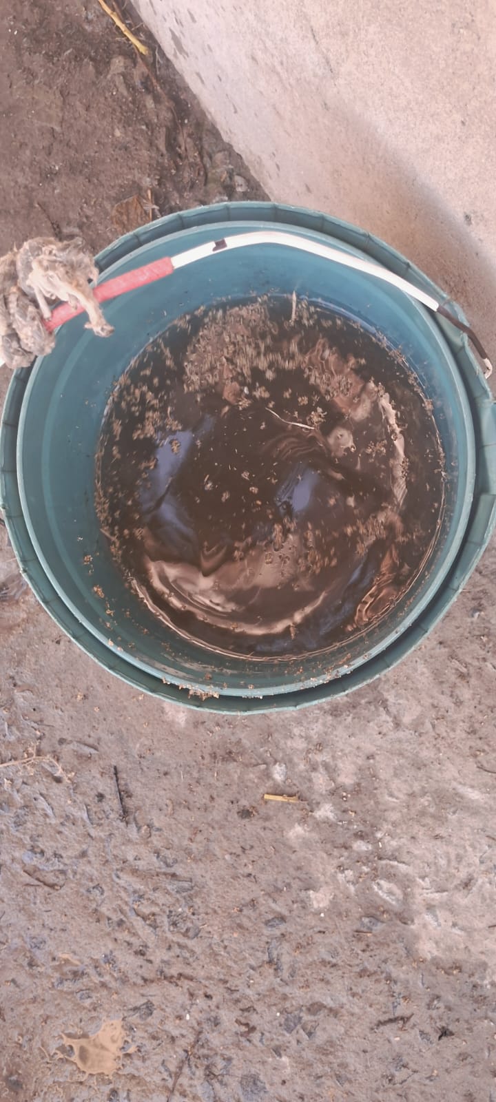 Additional News Image