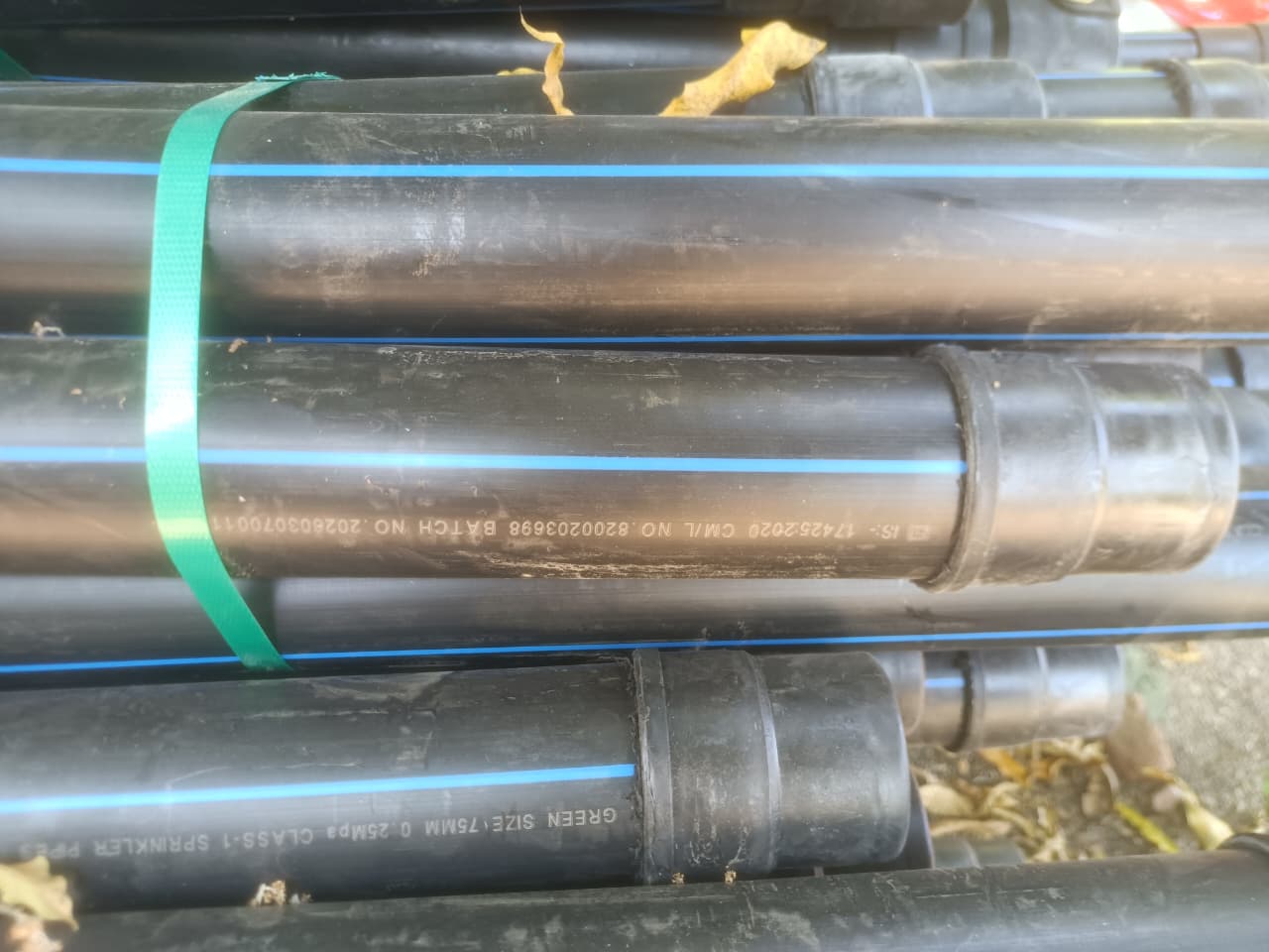 Additional News Image