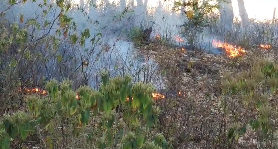 Additional News Image