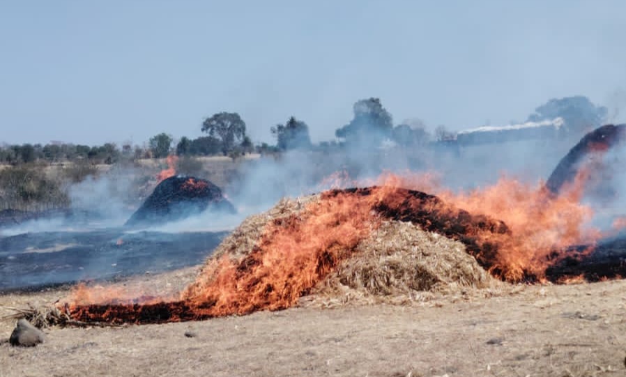 दूनावा-डोब में मक्के के कड़वे और पशु चारे में लगी आग, दमकल ने पाया काबू posted by Mohammad Afsar  from Multai