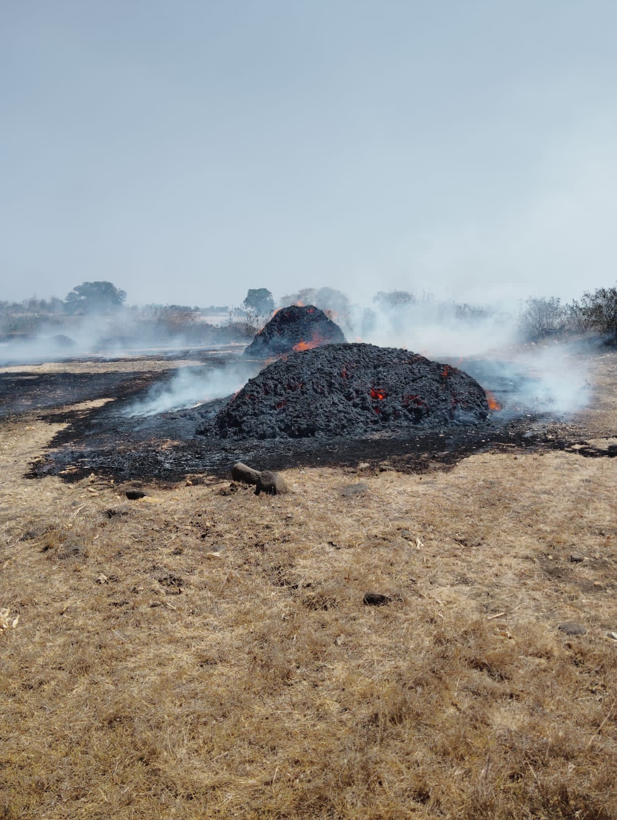 Additional News Image