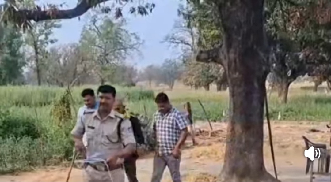 सिंगरौली: घरेलू विवाद में पिता की लापरवाही से मासूम की मौत, आरोपी गिरफ्तार posted by Avnish Sharma from Singrauli