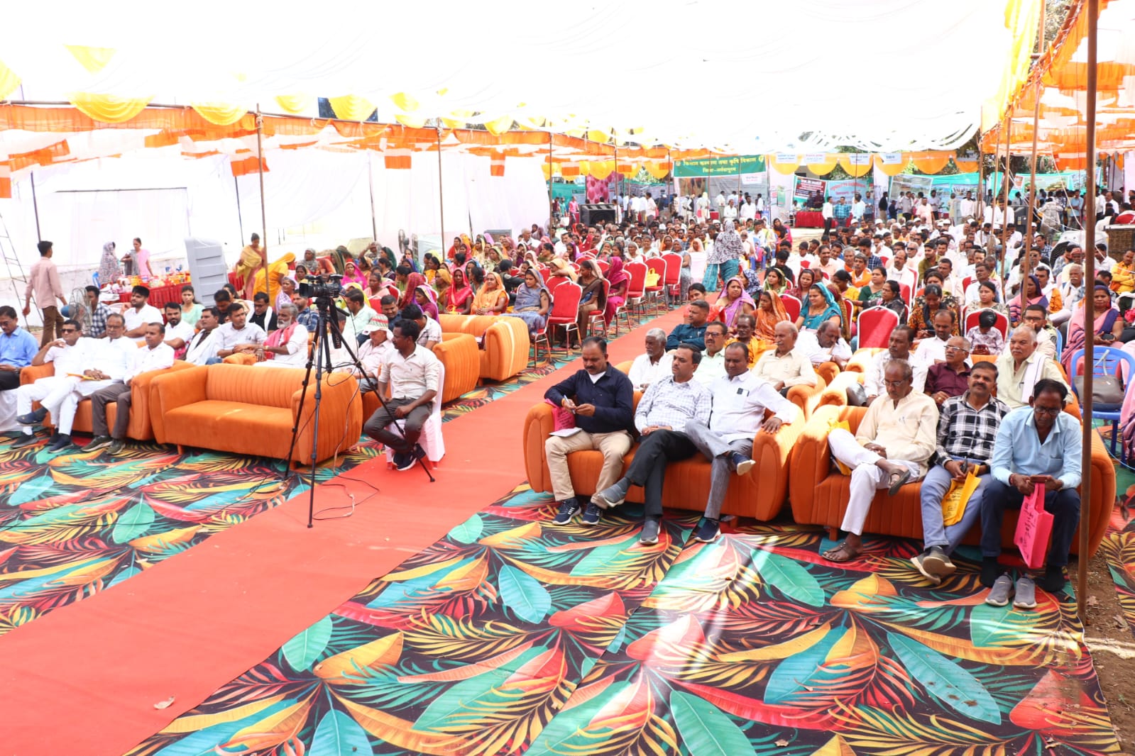 Additional News Image