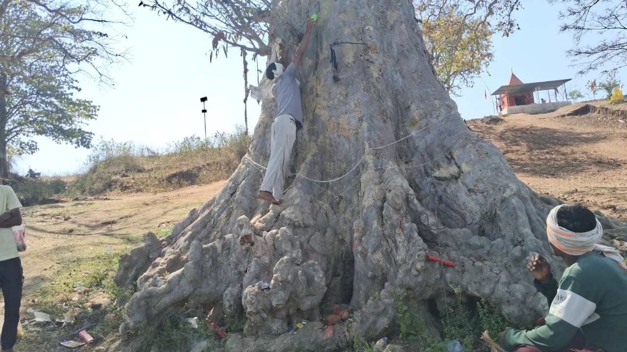 खकनार के रमाखेडा खुर्द में पेड़ से निकल रहा जल ,देखने उमड़ी लोगो की भीड़ मान रहे कोई चमत्कार posted by Nagin Mhajan