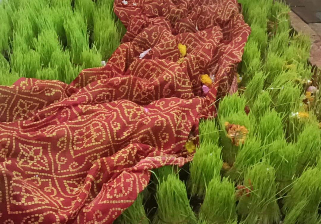 ओंकारेश्वर में गणगौर प्रारंभ: बाड़ी स्थानों में बोए जाएंगे ज्वारे, ब्रह्मपुरी–विष्णुपुरी–शिवपुरी में गुंजेंगे निमाड़ी झालरिए गीत posted by Ghanshyam Mahilya from Khandwa