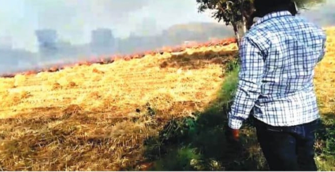 Additional News Image