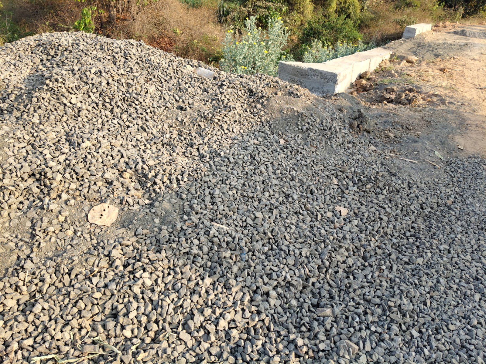 Additional News Image