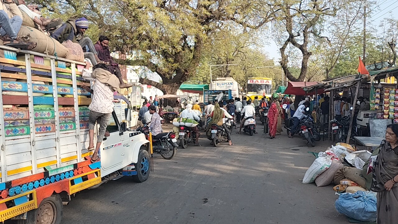 937 बोरी आवक के साथ पहली बार 200 रुपए किलो मिले सौंफ के भाव मंडी परिसर में बेतरतीब पार्किंग बनी बाधा,  posted by Lokesh Davde