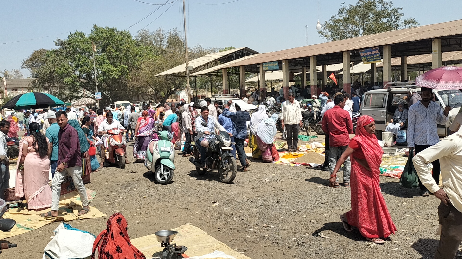 Additional News Image