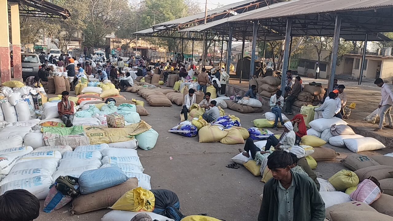 Additional News Image