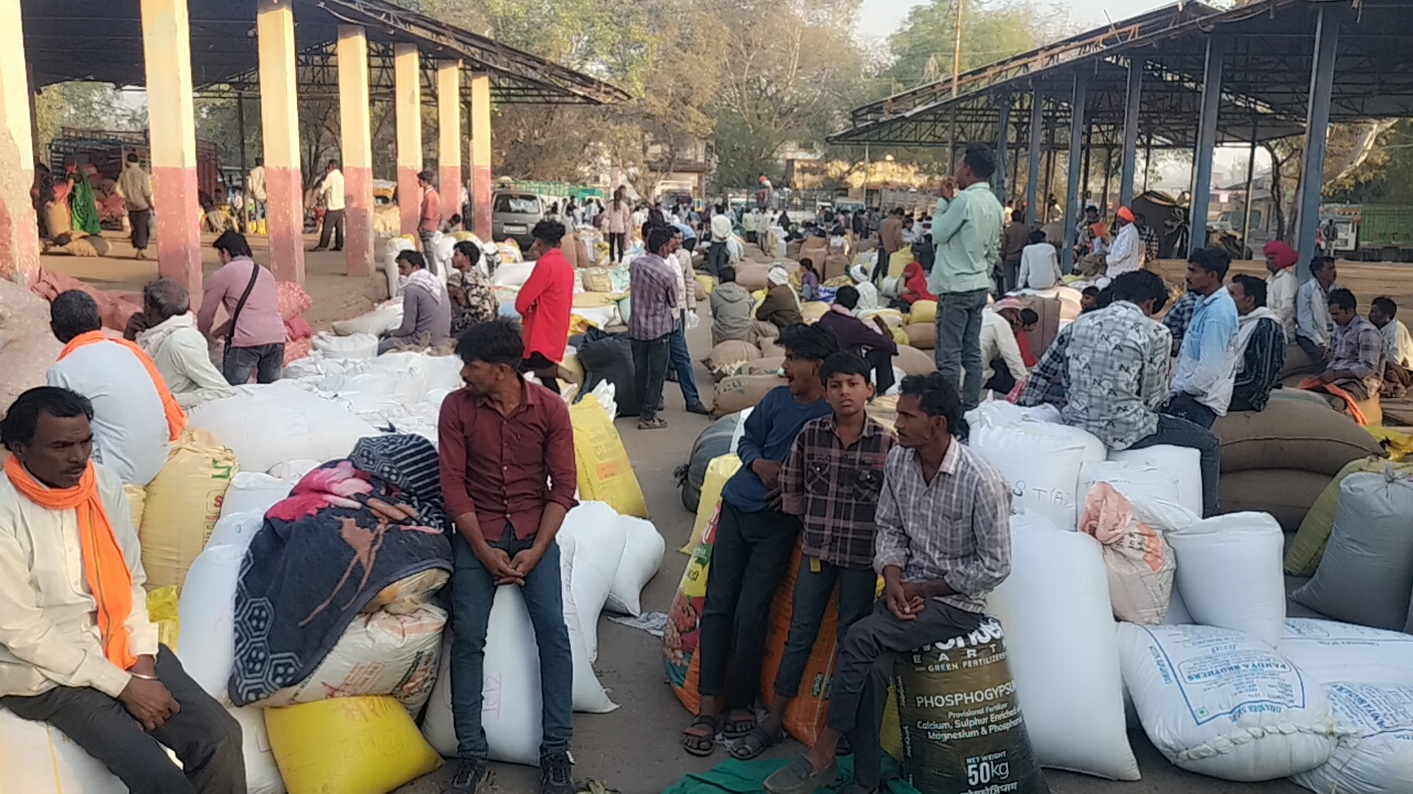 Additional News Image