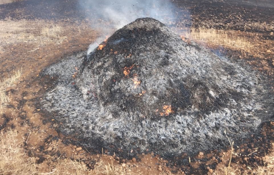 मुलताई: किसान के खेत में लगी आग से भारी नुकसान, posted by Mohammad Afsar  from Multai