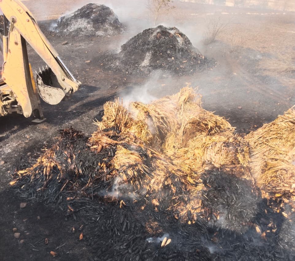 Additional News Image