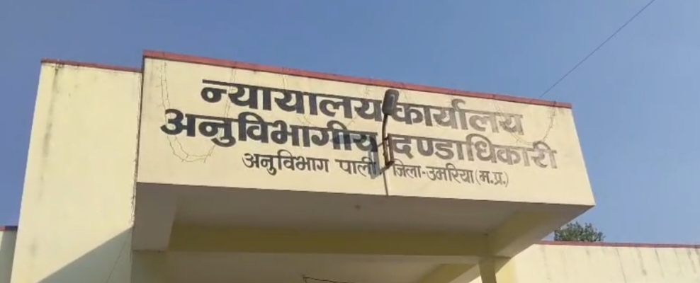 बिसिंहपुरपाली ब्लॉक अध्यक्ष रवि मिश्रा के द्वारा तहसील पाली को सौंपा गया ज्ञापन 