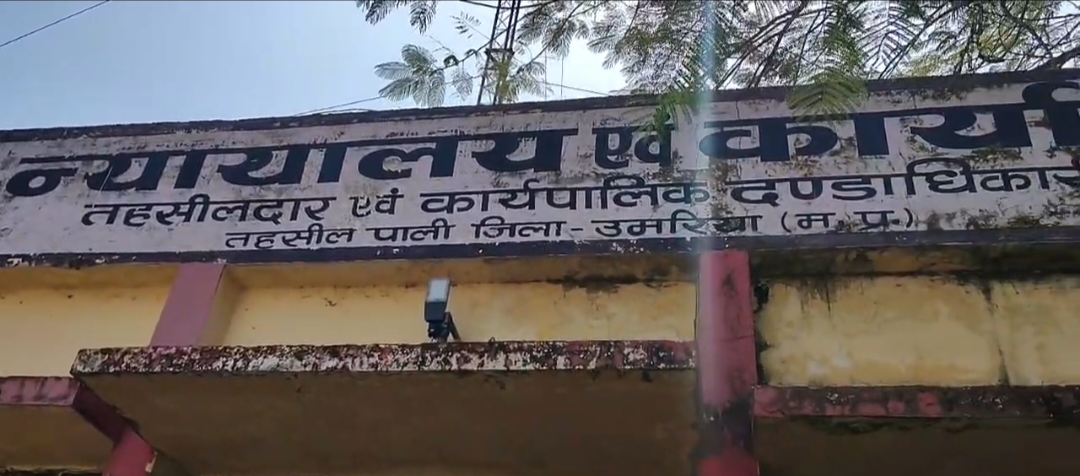 बिसिंहपुरपाली ब्लॉक अध्यक्ष रवि मिश्रा के द्वारा तहसील पाली को सौंपा गया ज्ञापन 