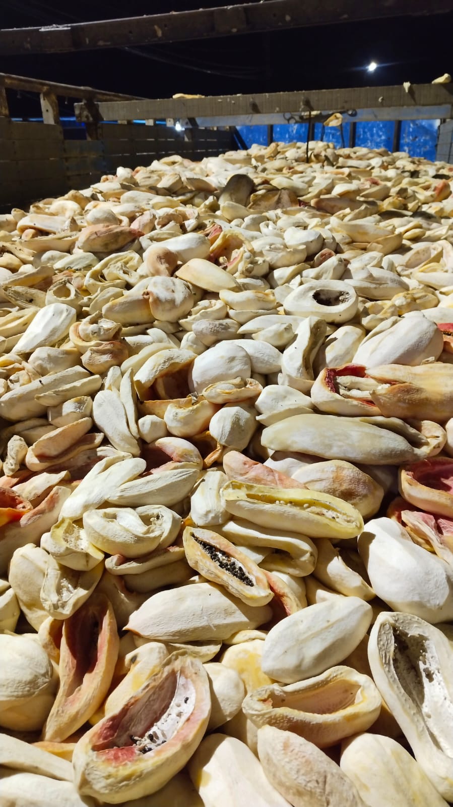 Additional News Image