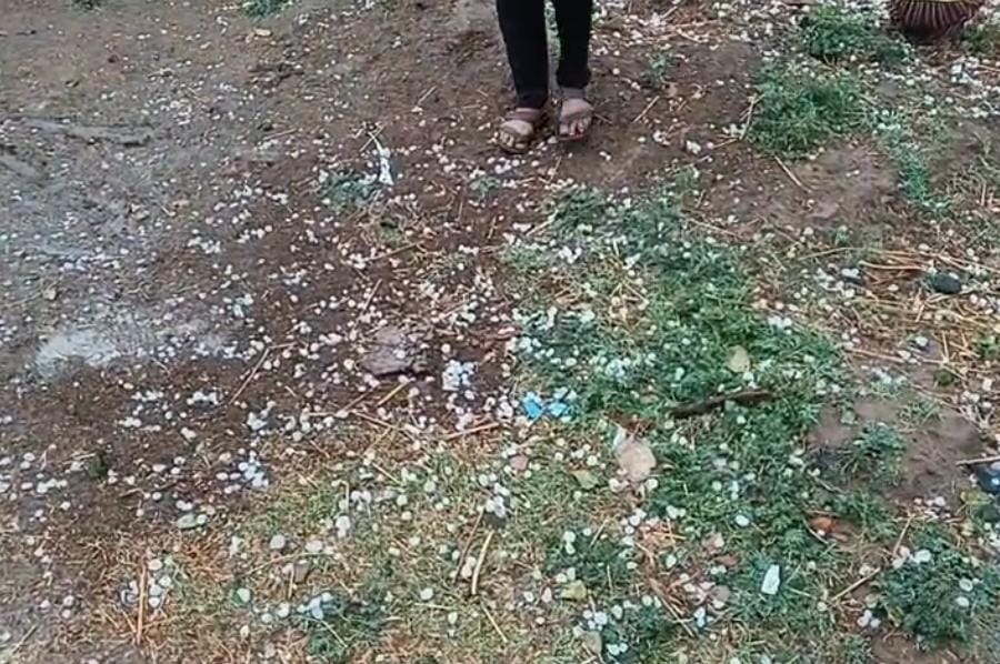 Additional News Image