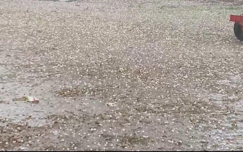 Additional News Image