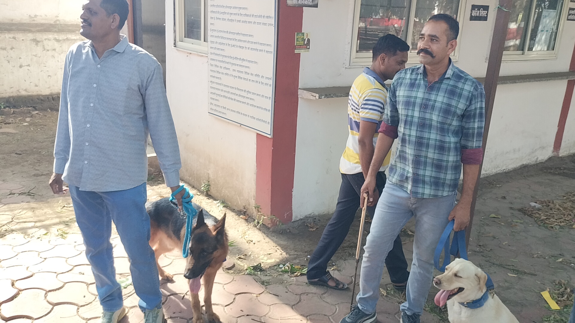 Additional News Image