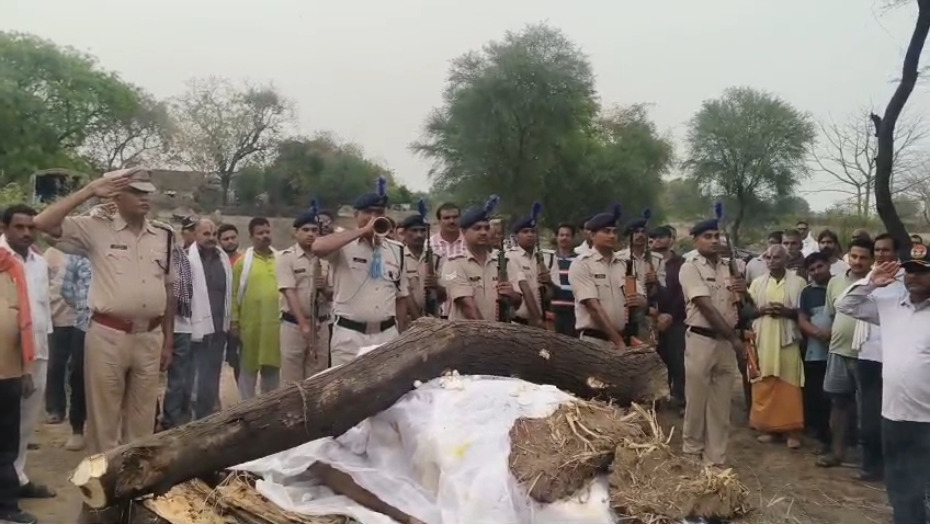 Additional News Image