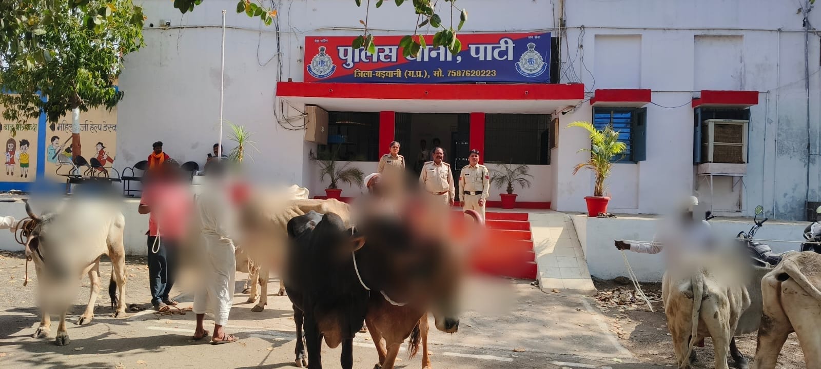 Additional News Image