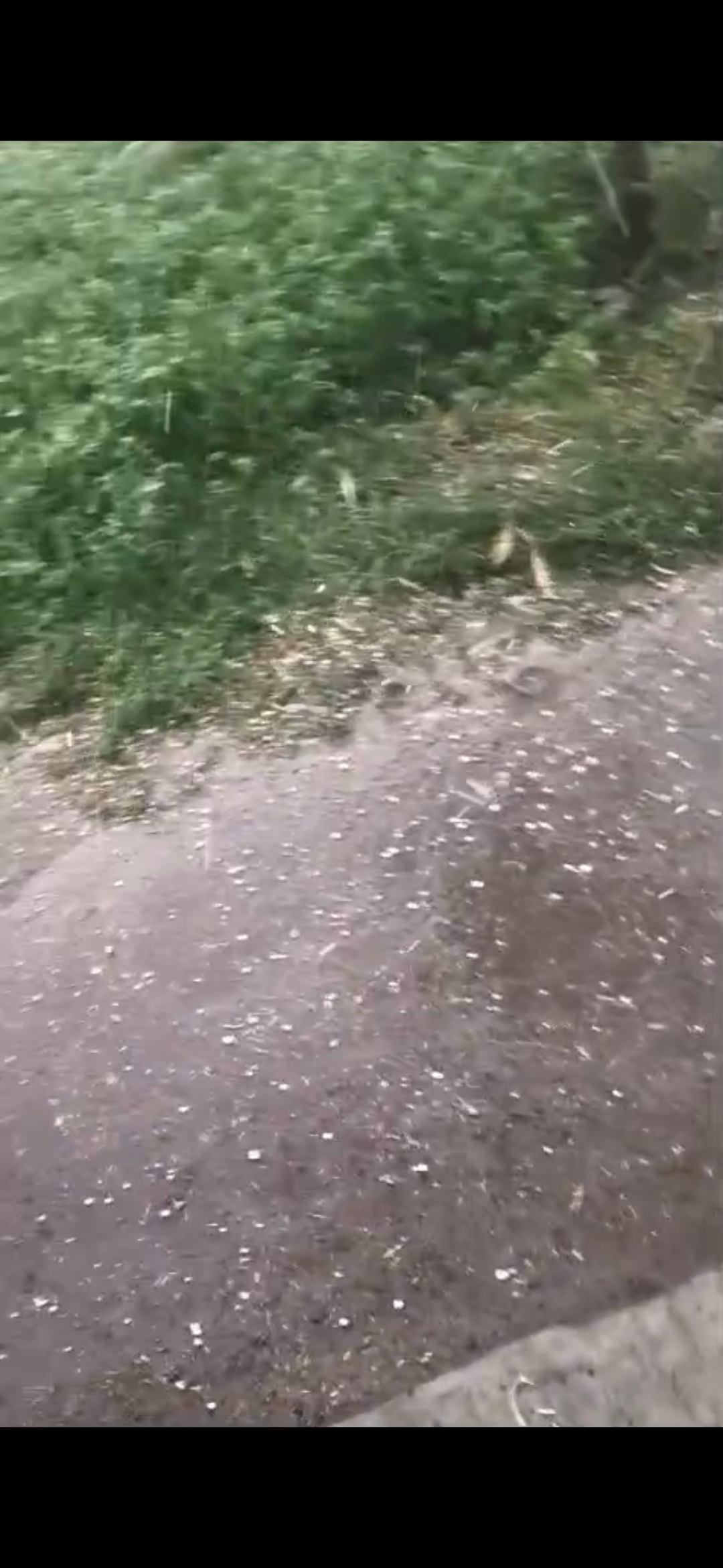 Additional News Image