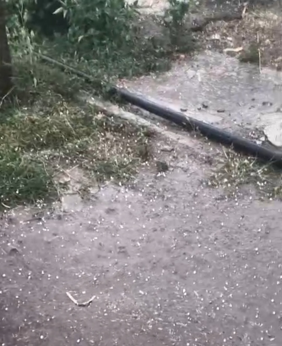 Additional News Image