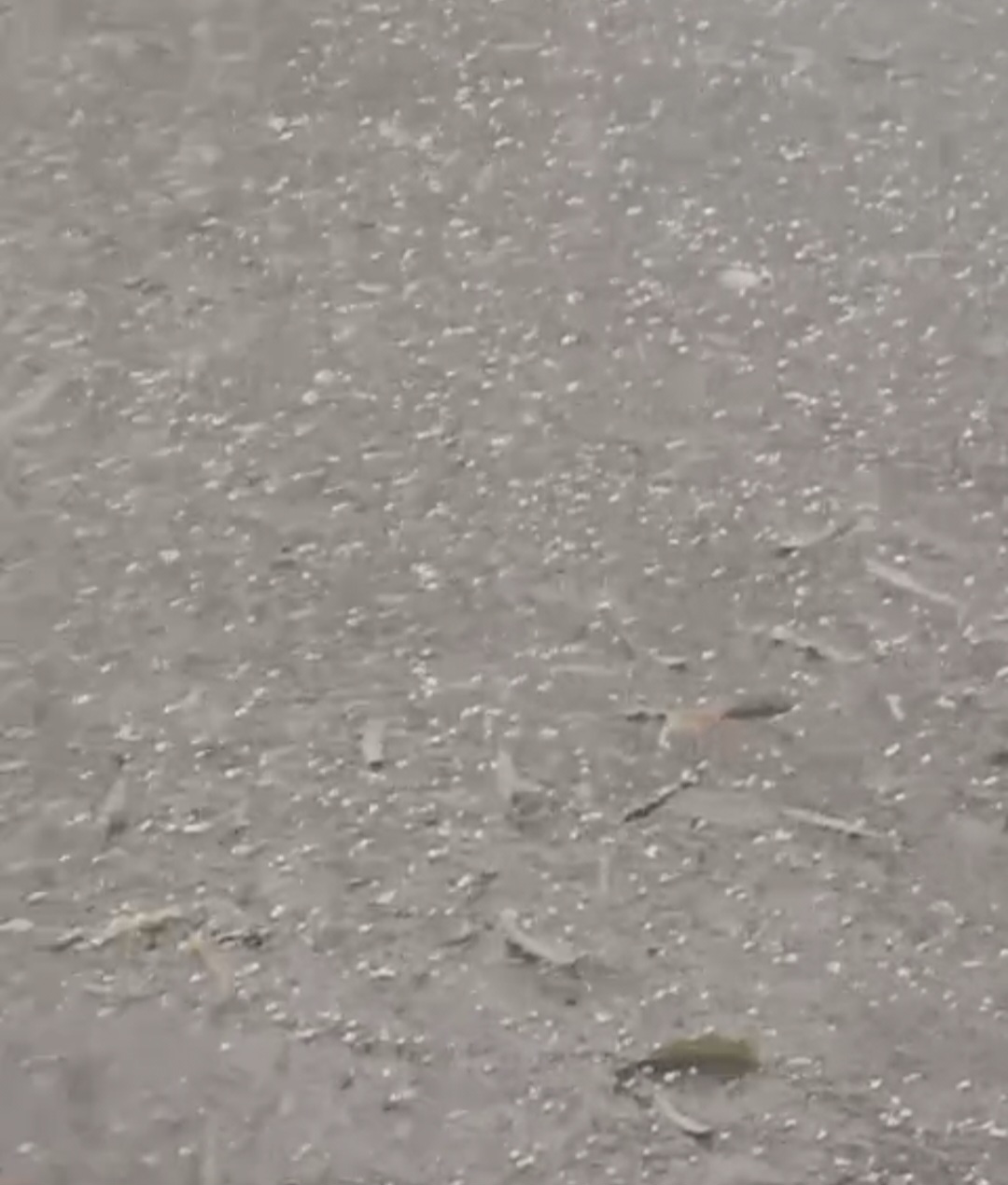 Additional News Image