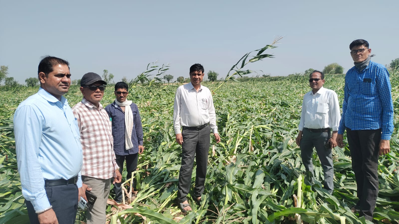 फसल नुकसान का जायजा लेने खेतों में पहुंच विभागों का दल posted by Lokesh Davde